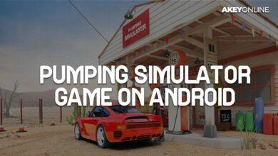 Pumping Simulator