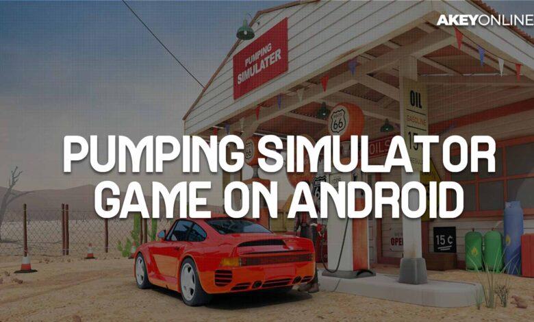 Pumping Simulator