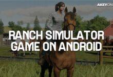 Ranch Simulator