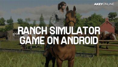 Ranch Simulator