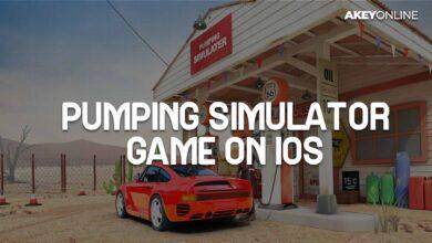 Pumping Simulator