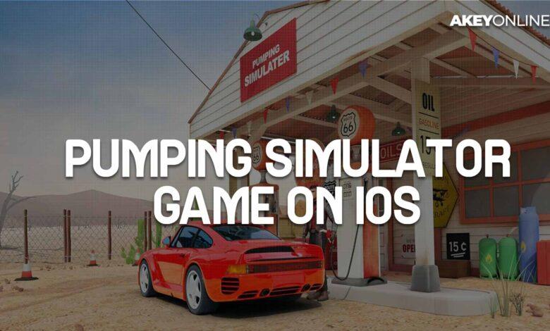 Pumping Simulator