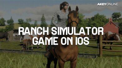 Ranch Simulator